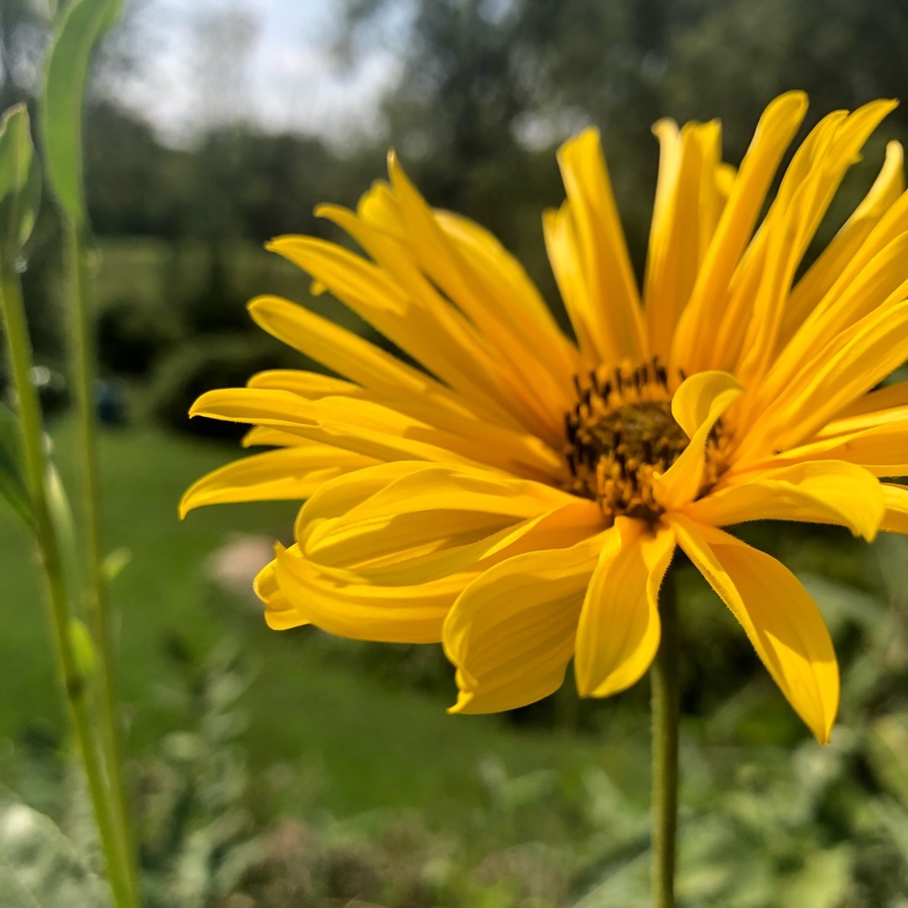 Meet your Posher, Elijah